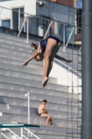 Thumbnail - Girls D - Simoni - Прыжки в воду - 2017 - 8. Sofia Diving Cup - Participants - Griechenland 03012_09371.jpg