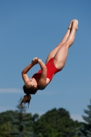 Thumbnail - Participants - Прыжки в воду - 2017 - 8. Sofia Diving Cup 03012_09391.jpg