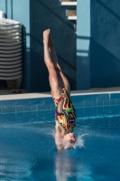 Thumbnail - Girls D - Maisie - Прыжки в воду - 2017 - 8. Sofia Diving Cup - Participants - Grossbritannien - Girls 03012_09401.jpg