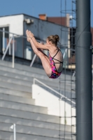 Thumbnail - Girls D - Brooke - Tuffi Sport - 2017 - 8. Sofia Diving Cup - Participants - Grossbritannien - Girls 03012_09427.jpg