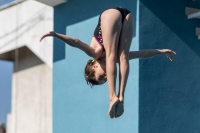 Thumbnail - Participants - Прыжки в воду - 2017 - 8. Sofia Diving Cup 03012_09449.jpg