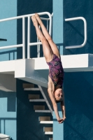 Thumbnail - Girls D - Csilla - Прыжки в воду - 2017 - 8. Sofia Diving Cup - Participants - Niederlande 03012_09502.jpg