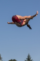 Thumbnail - Participants - Прыжки в воду - 2017 - 8. Sofia Diving Cup 03012_09690.jpg