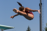 Thumbnail - Participants - Прыжки в воду - 2017 - 8. Sofia Diving Cup 03012_09692.jpg