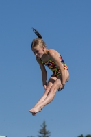 Thumbnail - Girls D - Maisie - Прыжки в воду - 2017 - 8. Sofia Diving Cup - Participants - Grossbritannien - Girls 03012_09728.jpg