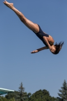 Thumbnail - Girls D - Nazanin Adelyne - Diving Sports - 2017 - 8. Sofia Diving Cup - Participants - Rumänien 03012_09735.jpg