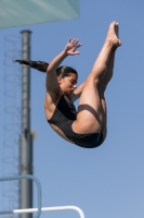 Thumbnail - Participants - Прыжки в воду - 2017 - 8. Sofia Diving Cup 03012_09843.jpg