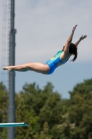 Thumbnail - Participants - Прыжки в воду - 2017 - 8. Sofia Diving Cup 03012_09854.jpg