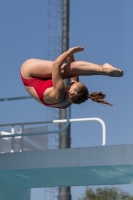 Thumbnail - Participants - Прыжки в воду - 2017 - 8. Sofia Diving Cup 03012_10000.jpg