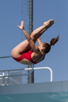 Thumbnail - Teilnehmer - Wasserspringen - 2017 - 8. Sofia Diving Cup 03012_10001.jpg