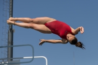 Thumbnail - Participants - Plongeon - 2017 - 8. Sofia Diving Cup 03012_10050.jpg