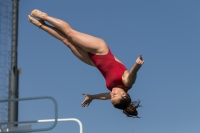 Thumbnail - Teilnehmer - Wasserspringen - 2017 - 8. Sofia Diving Cup 03012_10051.jpg