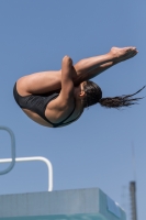 Thumbnail - Teilnehmer - Wasserspringen - 2017 - 8. Sofia Diving Cup 03012_10084.jpg