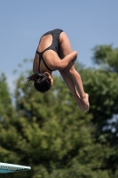 Thumbnail - Teilnehmer - Wasserspringen - 2017 - 8. Sofia Diving Cup 03012_10122.jpg