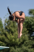 Thumbnail - Teilnehmer - Wasserspringen - 2017 - 8. Sofia Diving Cup 03012_10123.jpg