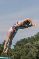 Thumbnail - Women - Tanja Van Hassel - Plongeon - 2017 - 8. Sofia Diving Cup - Participants - Niederlande 03012_10469.jpg