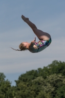 Thumbnail - Women - Tanja Van Hassel - Прыжки в воду - 2017 - 8. Sofia Diving Cup - Participants - Niederlande 03012_10471.jpg