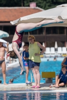 Thumbnail - Women - Kirsten Veltman - Прыжки в воду - 2017 - 8. Sofia Diving Cup - Participants - Niederlande 03012_10491.jpg