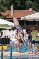 Thumbnail - Women - Tanja Van Hassel - Прыжки в воду - 2017 - 8. Sofia Diving Cup - Participants - Niederlande 03012_10525.jpg