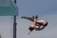 Thumbnail - Women - Kirsten Veltman - Diving Sports - 2017 - 8. Sofia Diving Cup - Participants - Niederlande 03012_10553.jpg