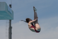 Thumbnail - Women - Kirsten Veltman - Diving Sports - 2017 - 8. Sofia Diving Cup - Participants - Niederlande 03012_10554.jpg