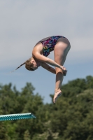 Thumbnail - Women - Tanja Van Hassel - Прыжки в воду - 2017 - 8. Sofia Diving Cup - Participants - Niederlande 03012_10626.jpg
