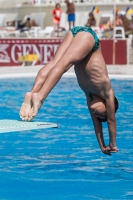 Thumbnail - Teilnehmer - Wasserspringen - 2017 - 8. Sofia Diving Cup 03012_10763.jpg