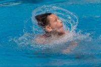 Thumbnail - Teilnehmer - Wasserspringen - 2017 - 8. Sofia Diving Cup 03012_10943.jpg