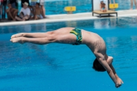 Thumbnail - Boys D - Petru Catalin - Wasserspringen - 2017 - 8. Sofia Diving Cup - Teilnehmer - Rumänien 03012_11119.jpg