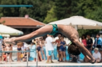 Thumbnail - Teilnehmer - Wasserspringen - 2017 - 8. Sofia Diving Cup 03012_11159.jpg