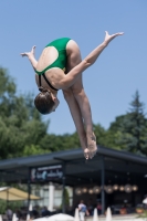 Thumbnail - Participants - Прыжки в воду - 2017 - 8. Sofia Diving Cup 03012_11515.jpg