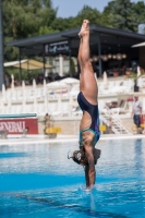 Thumbnail - Teilnehmer - Wasserspringen - 2017 - 8. Sofia Diving Cup 03012_11552.jpg