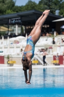 Thumbnail - Teilnehmer - Wasserspringen - 2017 - 8. Sofia Diving Cup 03012_11691.jpg