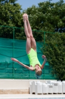 Thumbnail - Participants - Прыжки в воду - 2017 - 8. Sofia Diving Cup 03012_11742.jpg