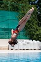 Thumbnail - Participants - Plongeon - 2017 - 8. Sofia Diving Cup 03012_11765.jpg