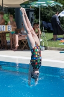 Thumbnail - Participants - Прыжки в воду - 2017 - 8. Sofia Diving Cup 03012_11893.jpg