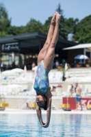 Thumbnail - Participants - Прыжки в воду - 2017 - 8. Sofia Diving Cup 03012_11971.jpg