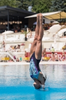 Thumbnail - Participants - Прыжки в воду - 2017 - 8. Sofia Diving Cup 03012_12003.jpg