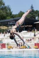 Thumbnail - Participants - Plongeon - 2017 - 8. Sofia Diving Cup 03012_12008.jpg