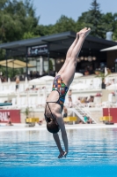 Thumbnail - Participants - Diving Sports - 2017 - 8. Sofia Diving Cup 03012_12009.jpg