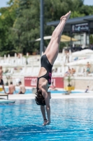 Thumbnail - Participants - Прыжки в воду - 2017 - 8. Sofia Diving Cup 03012_12063.jpg