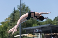 Thumbnail - Participants - Прыжки в воду - 2017 - 8. Sofia Diving Cup 03012_12264.jpg