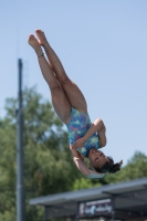 Thumbnail - Participants - Прыжки в воду - 2017 - 8. Sofia Diving Cup 03012_12296.jpg