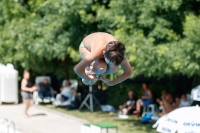 Thumbnail - Participants - Plongeon - 2017 - 8. Sofia Diving Cup 03012_12381.jpg