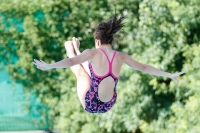 Thumbnail - Participants - Прыжки в воду - 2017 - 8. Sofia Diving Cup 03012_13377.jpg