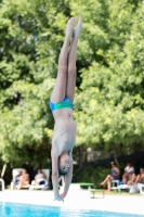 Thumbnail - Participants - Plongeon - 2017 - 8. Sofia Diving Cup 03012_13452.jpg