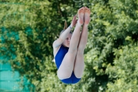 Thumbnail - Participants - Прыжки в воду - 2017 - 8. Sofia Diving Cup 03012_13597.jpg