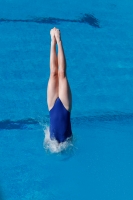 Thumbnail - Teilnehmer - Wasserspringen - 2017 - 8. Sofia Diving Cup 03012_13683.jpg