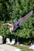 Thumbnail - Teilnehmer - Wasserspringen - 2017 - 8. Sofia Diving Cup 03012_13710.jpg