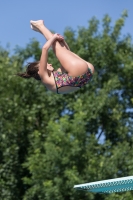 Thumbnail - Participants - Diving Sports - 2017 - 8. Sofia Diving Cup 03012_13815.jpg